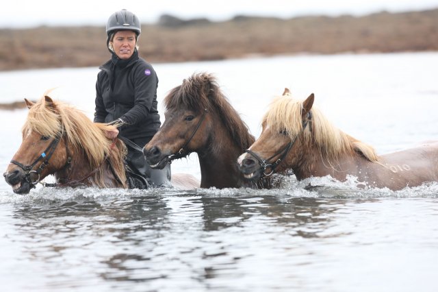 Baðtúr 2008