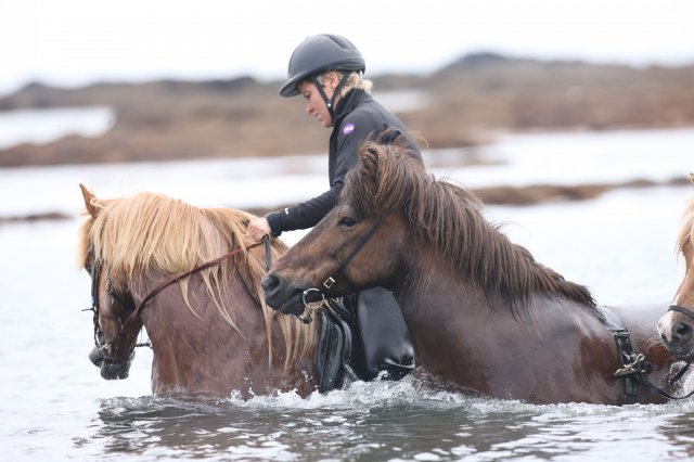 Baðtúr 2008