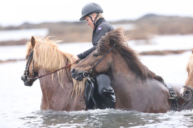 Baðtúr 2008