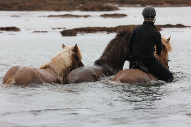 Baðtúr 2008