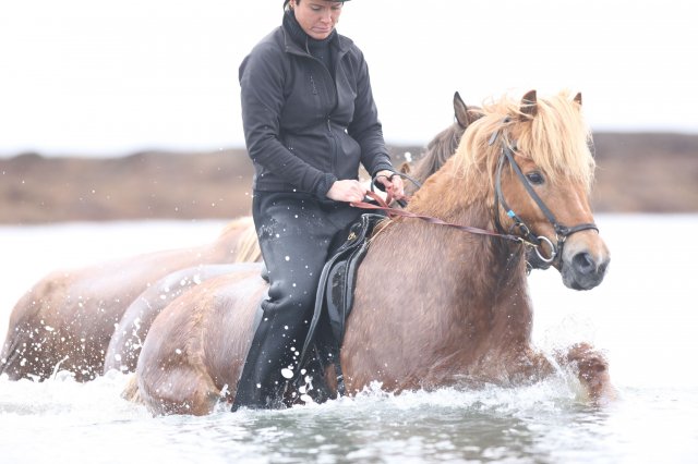 Baðtúr 2008