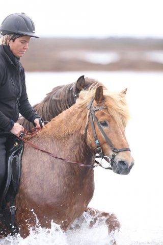 Baðtúr 2008