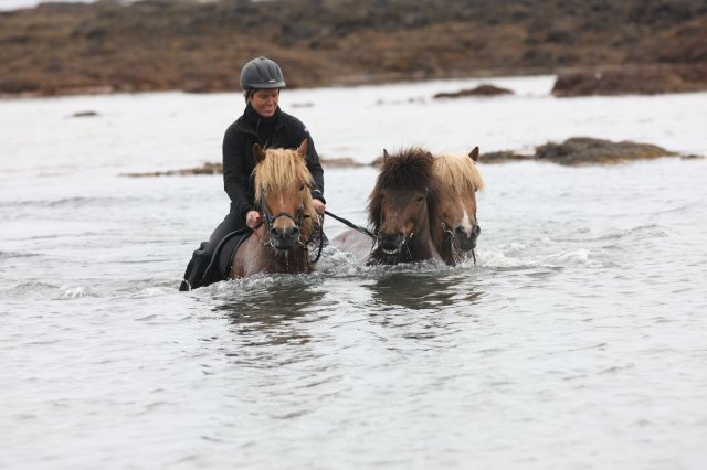 Baðtúr 2008