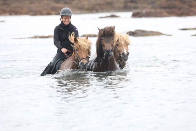 Baðtúr 2008