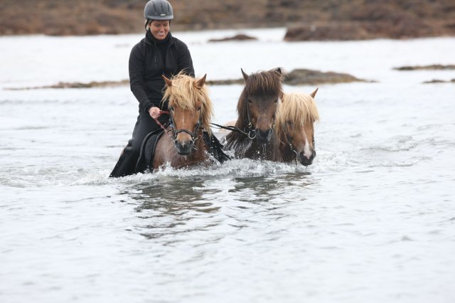 Baðtúr 2008