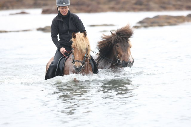 Baðtúr 2008