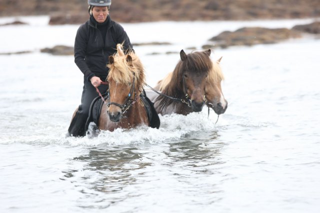 Baðtúr 2008