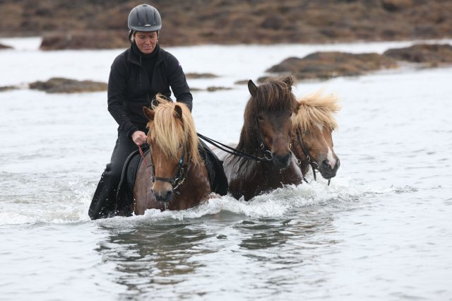 Baðtúr 2008