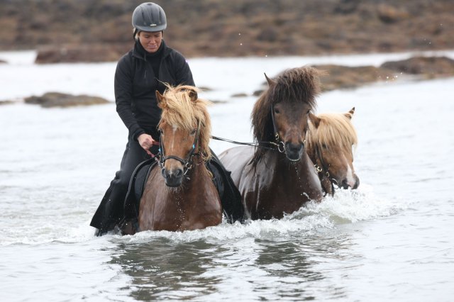 Baðtúr 2008