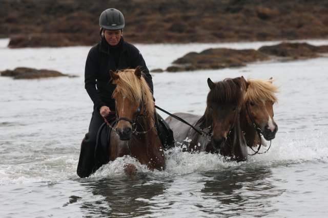 Baðtúr 2008