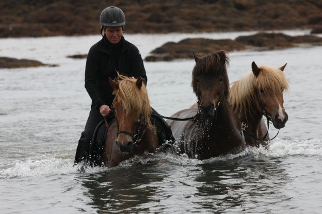 Baðtúr 2008