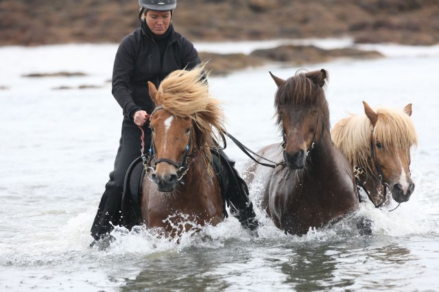 Baðtúr 2008