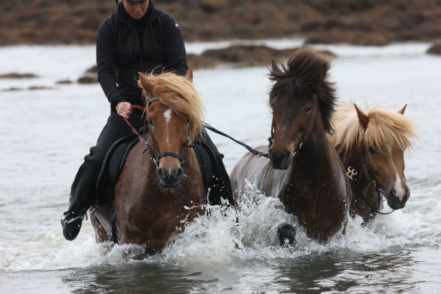 Baðtúr 2008