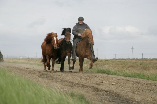 Baðtúr 2008