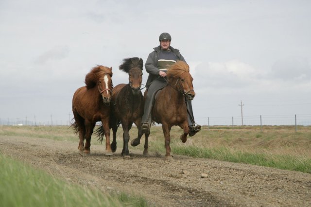 Baðtúr 2008