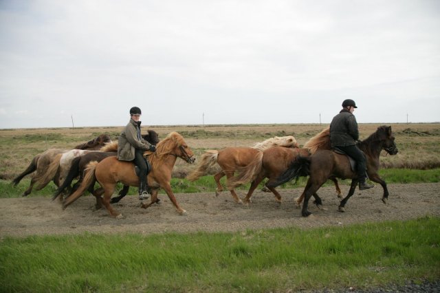 Baðtúr 2008