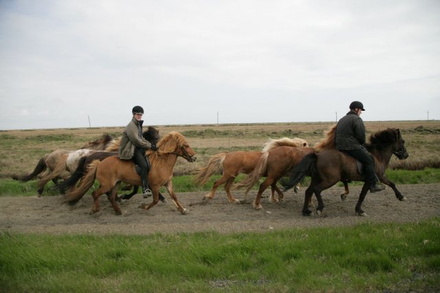 Baðtúr 2008