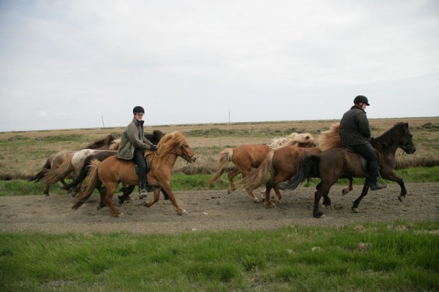 Baðtúr 2008