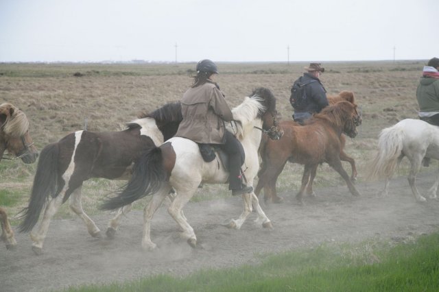 Baðtúr 2008