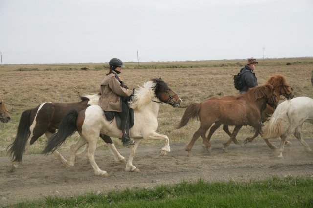 Baðtúr 2008