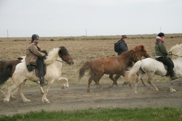 Baðtúr 2008