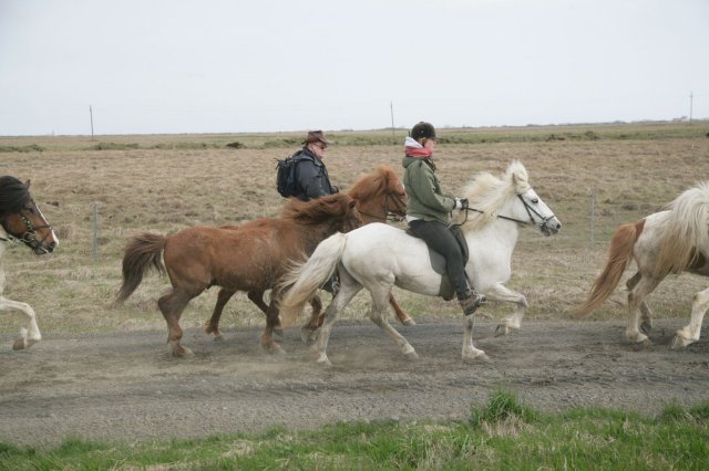 Baðtúr 2008