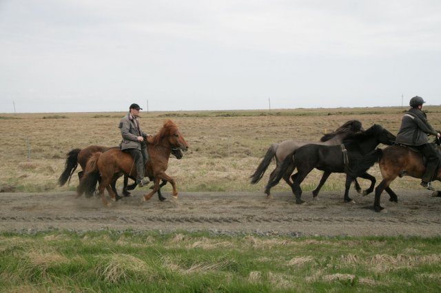 Baðtúr 2008