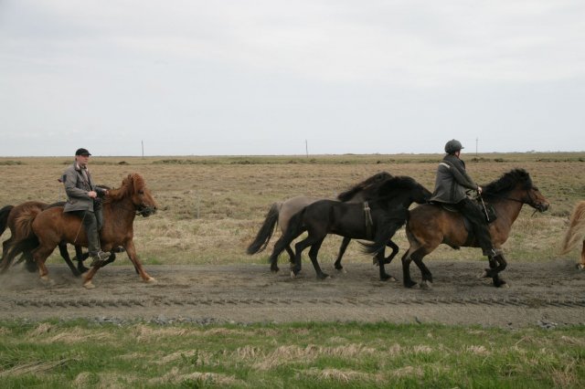 Baðtúr 2008