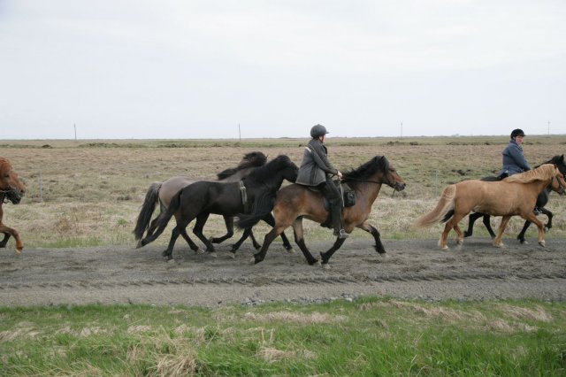 Baðtúr 2008