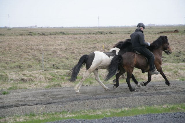 Baðtúr 2008