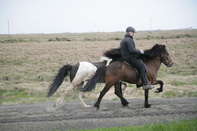 Baðtúr 2008