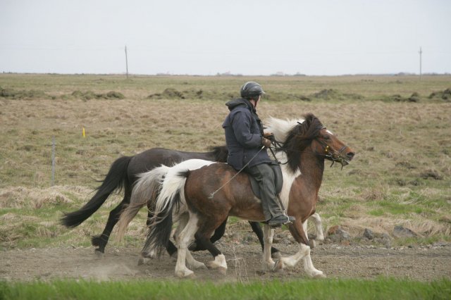 Baðtúr 2008