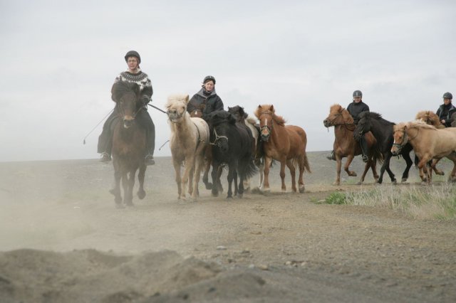 Baðtúr 2008