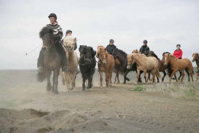 Baðtúr 2008