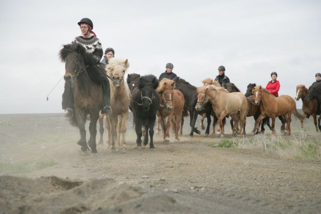 Baðtúr 2008