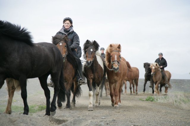 Baðtúr 2008