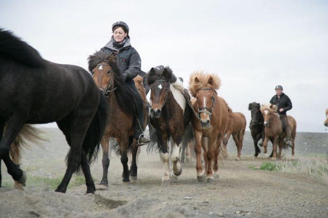 Baðtúr 2008