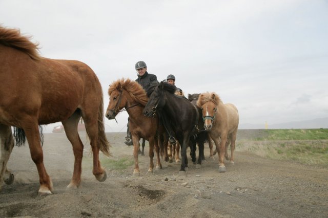 Baðtúr 2008