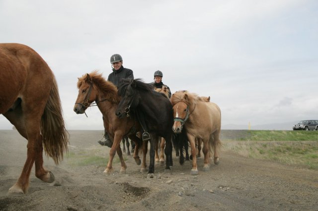 Baðtúr 2008