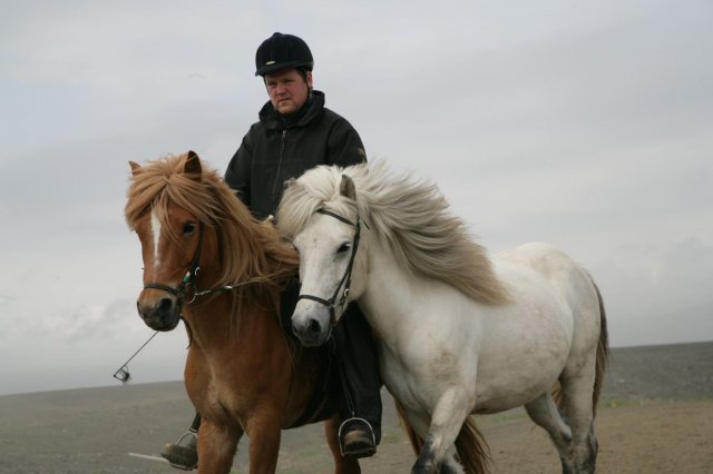 Baðtúr 2008