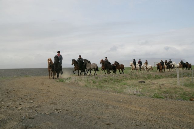 Baðtúr 2008