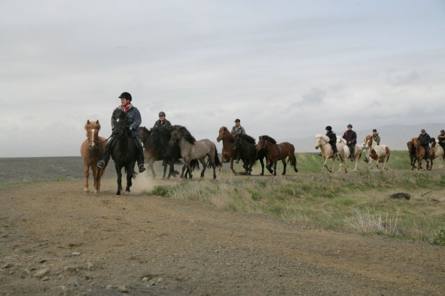 Baðtúr 2008