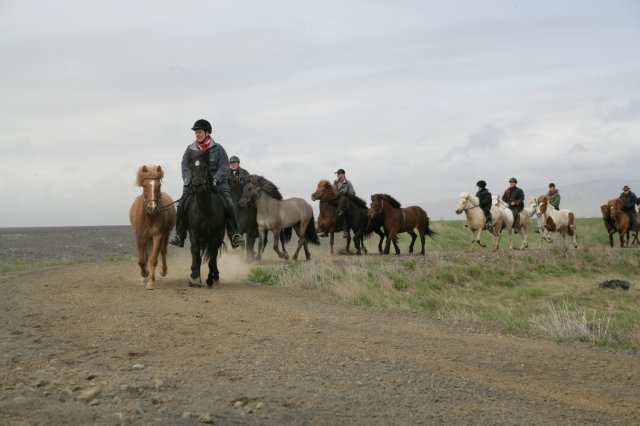 Baðtúr 2008