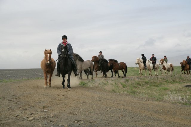 Baðtúr 2008