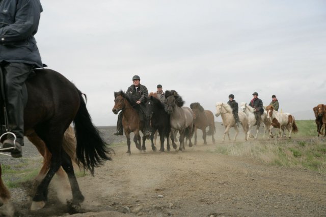 Baðtúr 2008