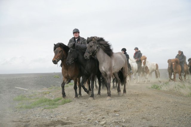 Baðtúr 2008