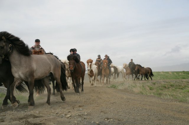 Baðtúr 2008