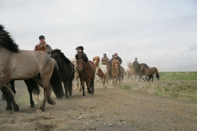 Baðtúr 2008