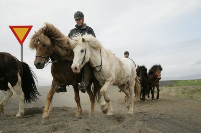 Baðtúr 2008