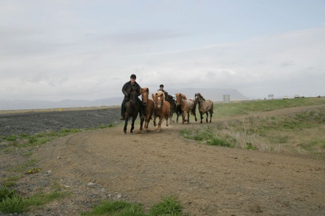 Baðtúr 2008